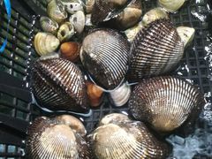 -金龙渔港(双楠店)