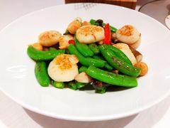 高山芦笋炒澳带-东富酒家(龙湖西溪天街店)