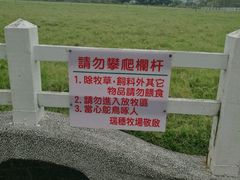 -瑞穗牧场