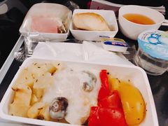 -新加坡航空公司(ION)