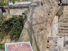 -青岛崂山太清宫