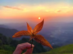 -萍乡武功山风景名胜区