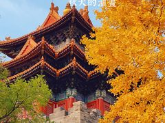 -故宫博物院(故宫)