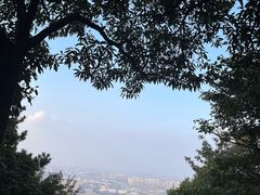 -惠山国家森林公园