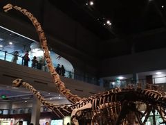 -自贡恐龙博物馆