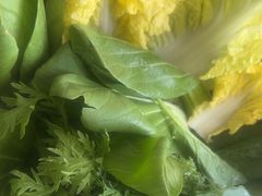 -草原传奇鲜羊火锅(桥北店)