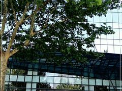 -渣打银行（中国）(北京分行)