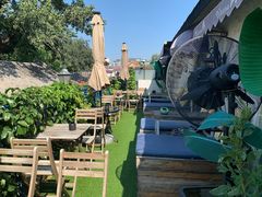 -Sirena海妖日咖夜酒