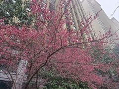 -菊上料理(蜀山银泰百货店)