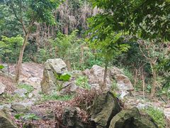 -火炉山森林公园