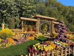 -上海共青森林公园