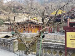 -华清宫景区