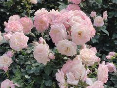 -人民公园(罗湖区)