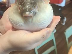 -永安鱼庄·镇江菜(丁卯店)