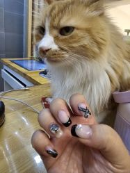 -沫儿·美甲美睫·半永久·皮肤管理