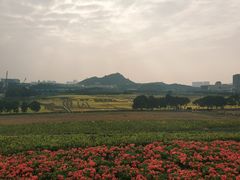 -光明小镇欢乐田园