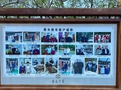 -香木香羊(小汤山店)