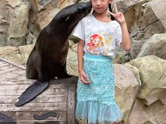 -哈尔滨波塞冬海底世界