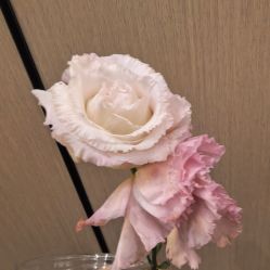 -丽减美瘦吧·瘦身塑形