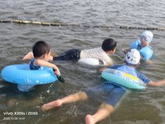 -碧海金沙