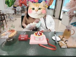 -国际月月生母婴月子中心(旗舰店)