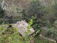 -青岛森林野生动物世界