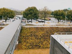 -虹桥综合交通枢纽-P6停车库