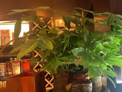 -喜湘宴·精致湖南菜(和平西桥店)