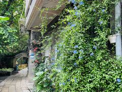 -小洲村