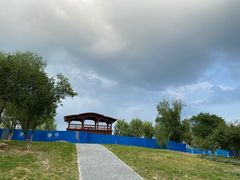 -永定河休闲森林公园