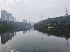 -重庆彩云湖湿地公园