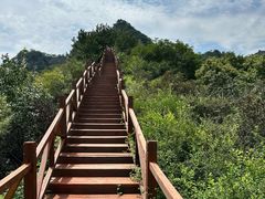 -大岭沟猕猴桃谷风景区