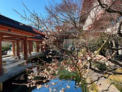 -浙江省博物馆(孤山馆区)