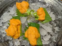 -月龍吟(朝龙汇店)