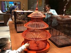 -固安来康郡来康温泉