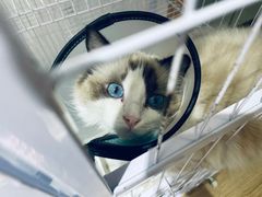 -iF摄影•全家福•证件照•形象照(南山店)