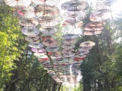-天河潭旅游度假区