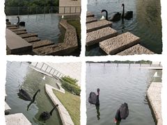 -行者书屋大堂吧 ·下午茶(南京圣和府邸酒店)