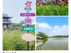 -北京国际鲜花港