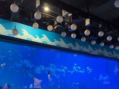 -烟台海昌鲸鲨海洋公园