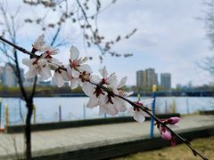 -长白岛森林公园