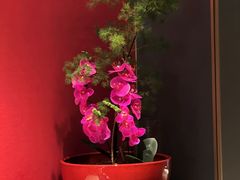 -山泉粤宴(广东大厦店)