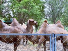 -长白岛森林公园