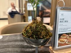 -THE WOODS 简餐 (国贸商城店)