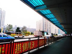 -国际邮轮中心码头(厦鼓码头)