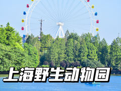 -上海野生动物园