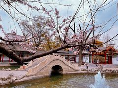 -碑林公园