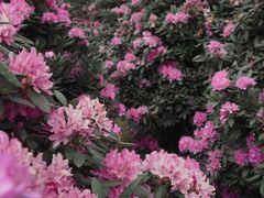 -名花谷生态庄园