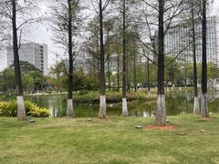 -至潮餐厅精致粤菜·活鲈鱼·走地鸡(珠江新城店)