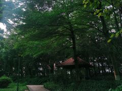 -同德公园